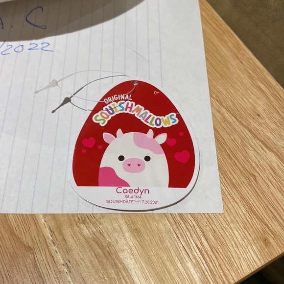 8 Inch Caedyn Valentine’s squishmallow - Picture 2 of 5